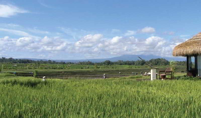 Wakagangga Selemadeg Exterior foto
